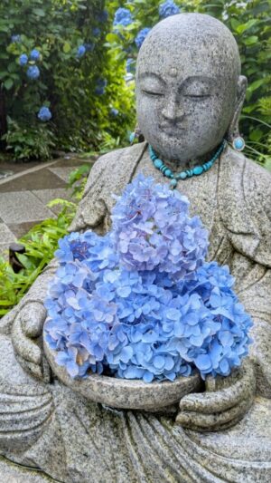 明月院・あじさい地蔵